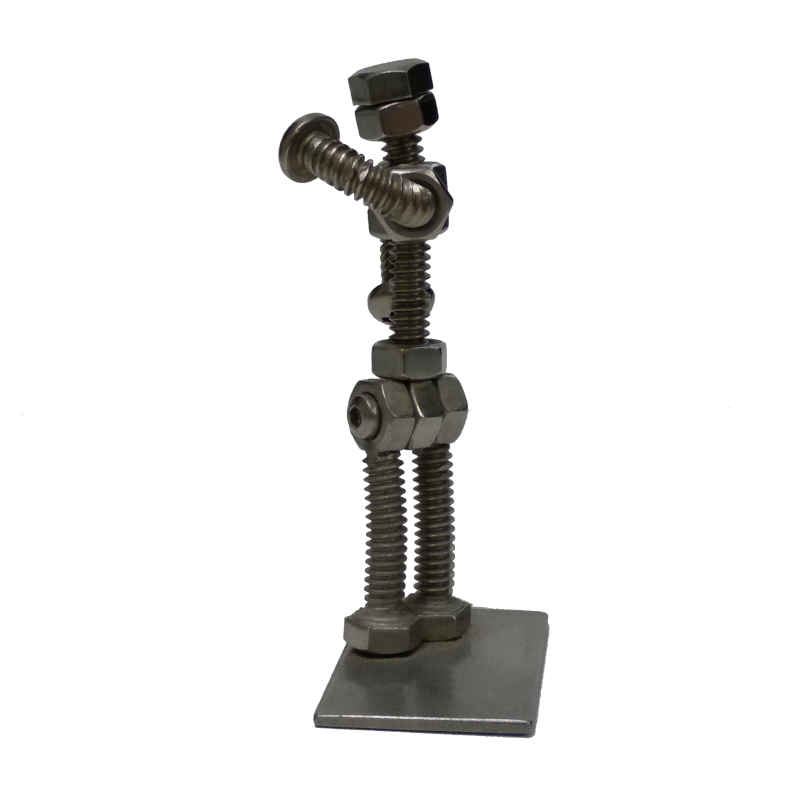 SCR1008 c